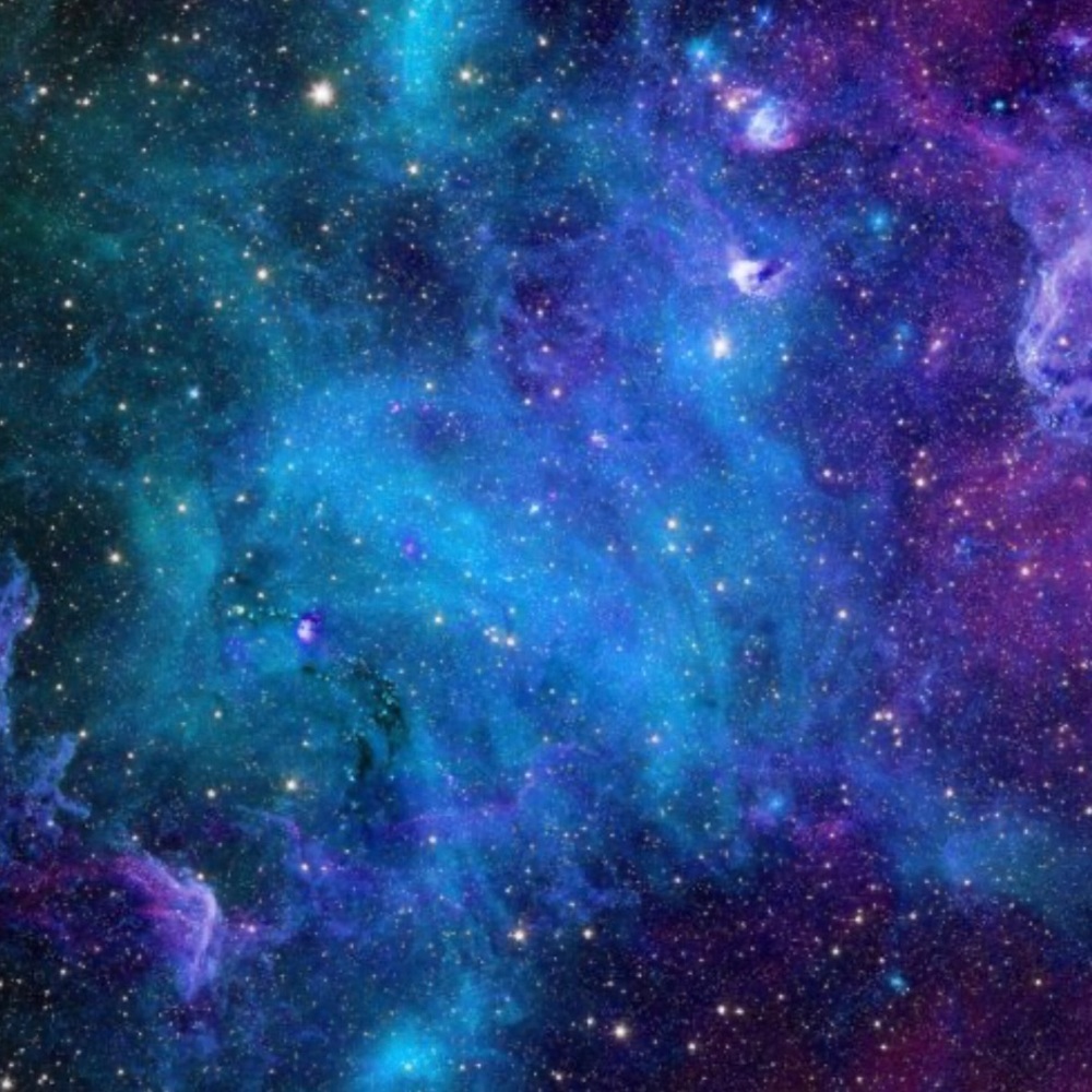 Meet your Posher, Teresa